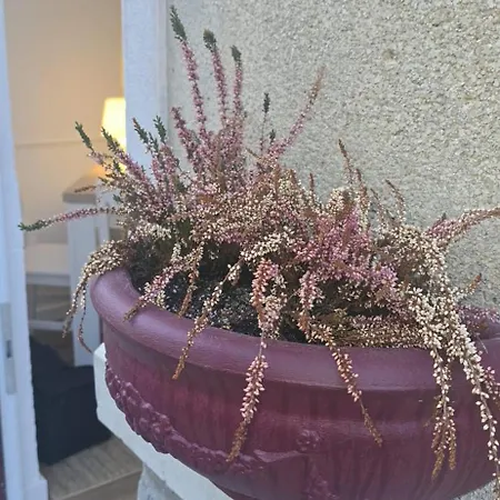 Apartament Bivar Urban Retreat *