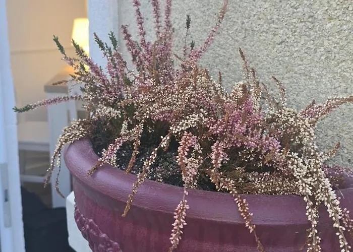 アパート Bivar Urban Retreat *